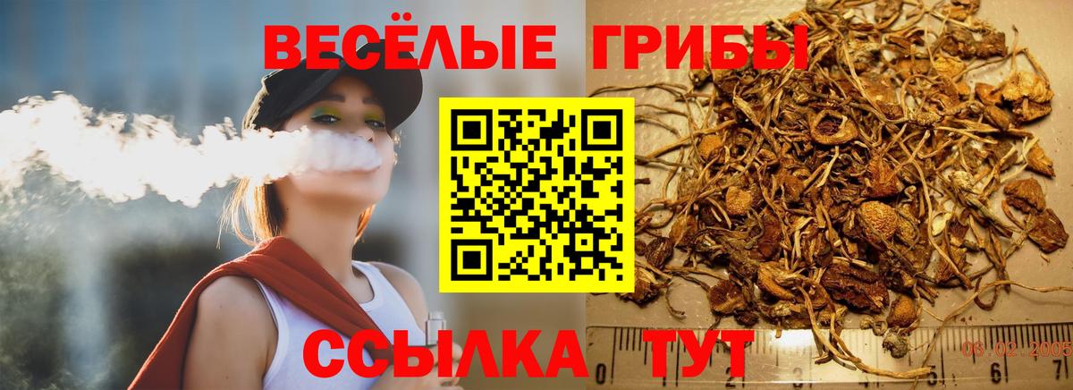 Псилоцибиновые грибы мухоморы Конаково