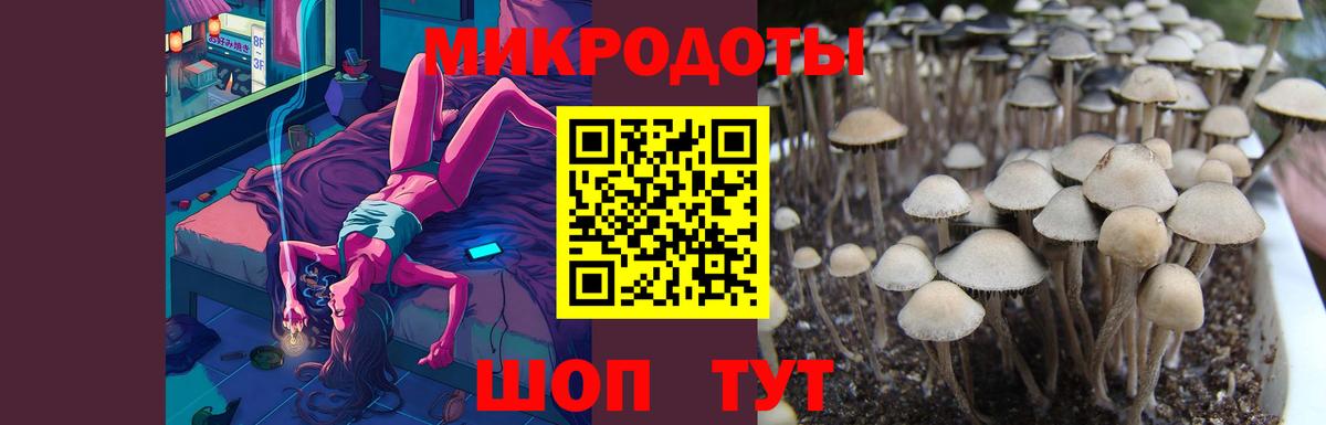 Галлюциногенные грибы мухоморы  Псилоцибиновые грибы ЛСД  Конаково  Вход с VPN 